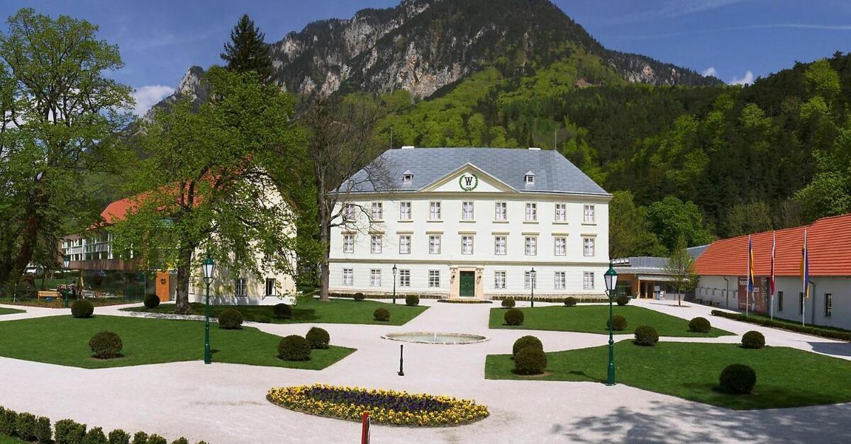 Schoene Ferienwohnung Schottwien المظهر الخارجي الصورة