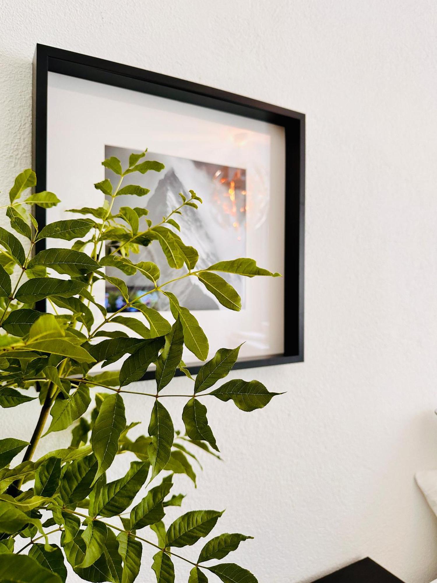 Schoene Ferienwohnung Schottwien المظهر الخارجي الصورة